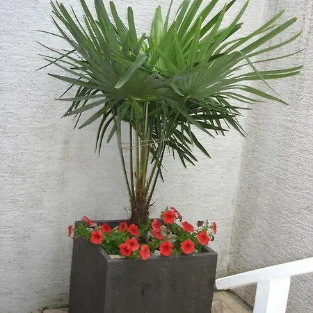 Magdalena * Crikvenica