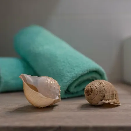 Magdalena Apartamento *