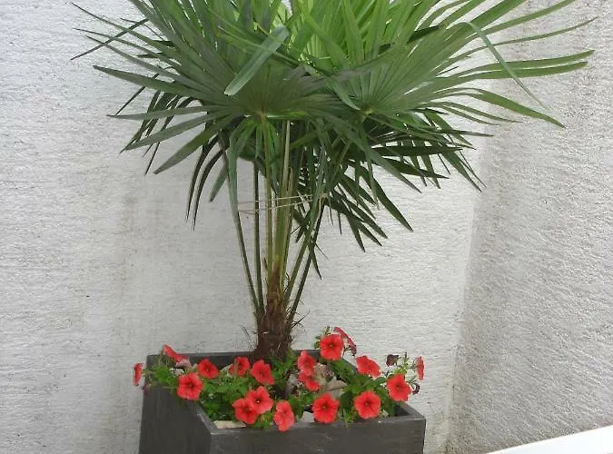 Magdalena * קריקווניצה